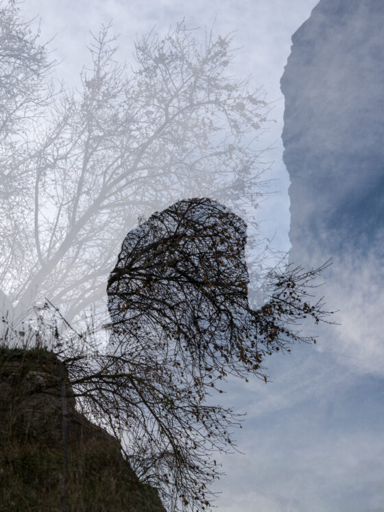 woman in the trees